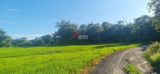 Lote de 24 hectáreas en Lérida, Tolima, foto 10