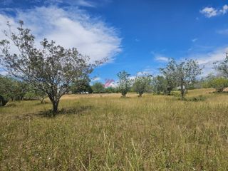 Finca Los Arrayanes, foto 4