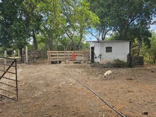 Finca Los Arrayanes, foto 8