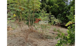 Casa en Venta - San Luis, Tolima, foto 3