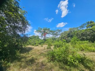 Finca Los Arrayanes, foto 15