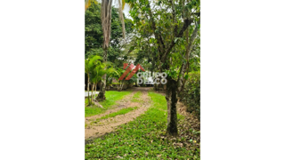 Lote en Venta - Zona Rural | Ibague, foto 3