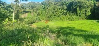 Lote de 24 hectáreas en Lérida, Tolima, foto 7