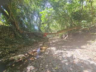Finca Los Arrayanes, foto 11