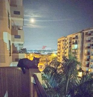 Apartamento en Girardot — Hacienda Peñalisa, Conjunto Bambú, foto 14