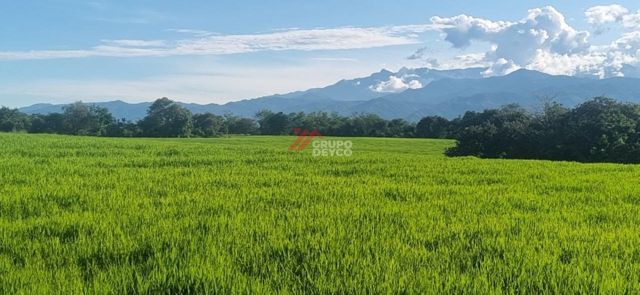 Lote de 24 hectáreas en Lérida, Tolima