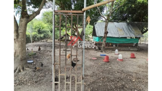 Casa en Venta - San Luis, Tolima, foto 10